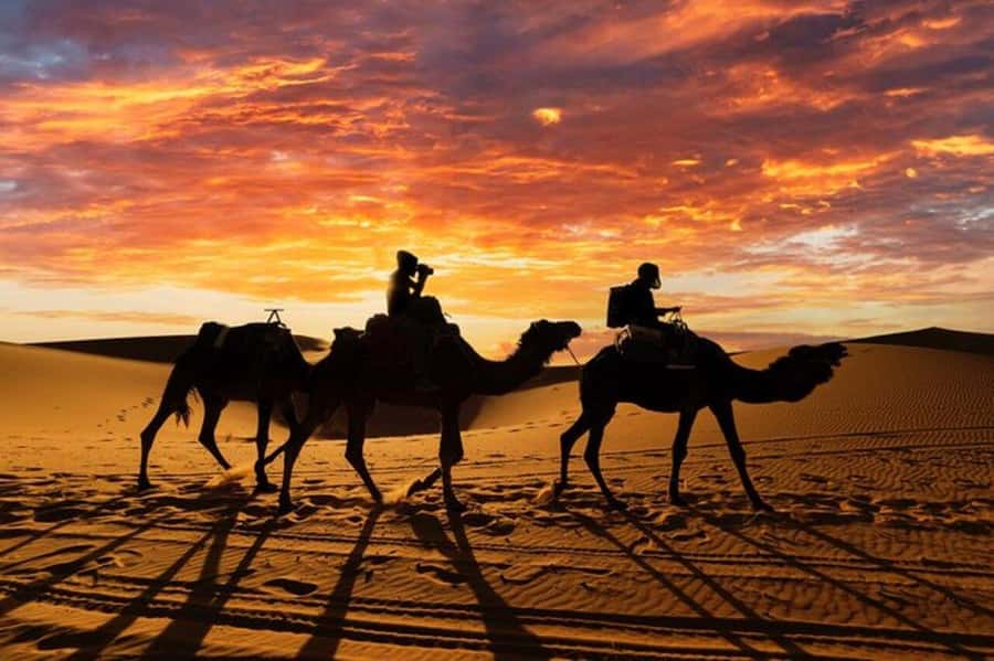 Agadir/Taghazout: Desert & Beach Safari Quad With Transfer - What to wear for a dusty four hours