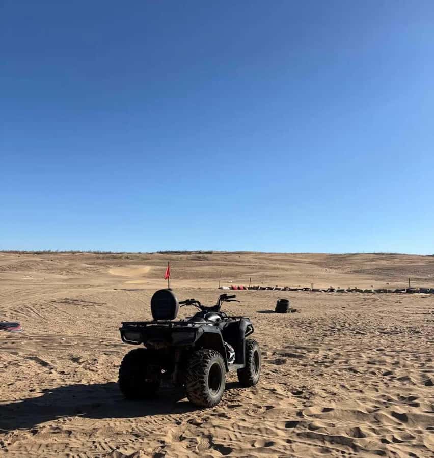 Agadir/Taghazout: Desert & Beach Safari Quad With Transfer - Who will enjoy this outing most?