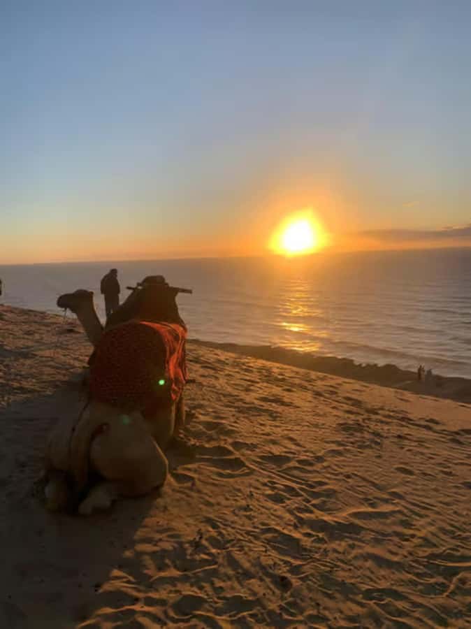 Agadir/Taghazout : Quad Bike & Camel Ride On The Beach - Who will enjoy this outing most