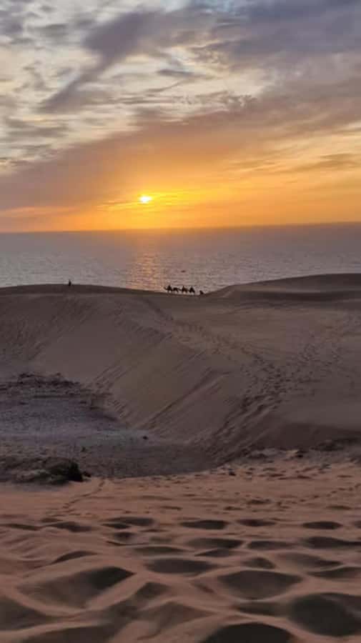 Agadir/Taghazout : Quad Bike & Camel Ride On The Beach - Practical tips for a smoother ride