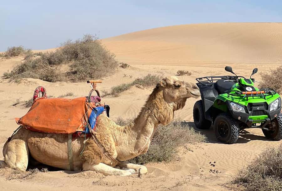 Agadir to Tifnit Desert: Quad Biking Tour with Sandboarding - What the $62 price buys you