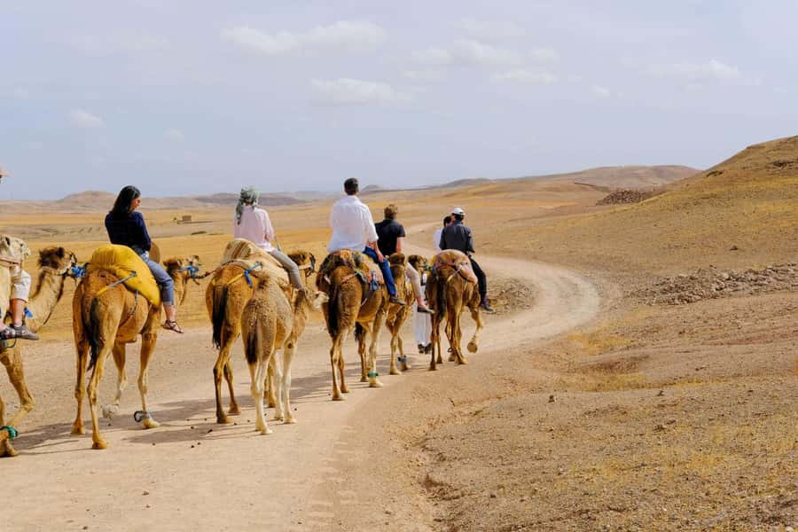 Agafay and atlas: Quad and camel experience - Food and overnight options