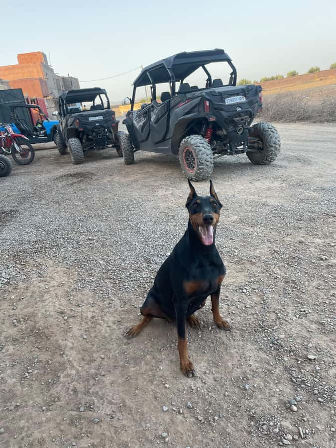 Agafay Desert 4-Seater Buggy Experience | Family & Premium - Is $70 per person good value?