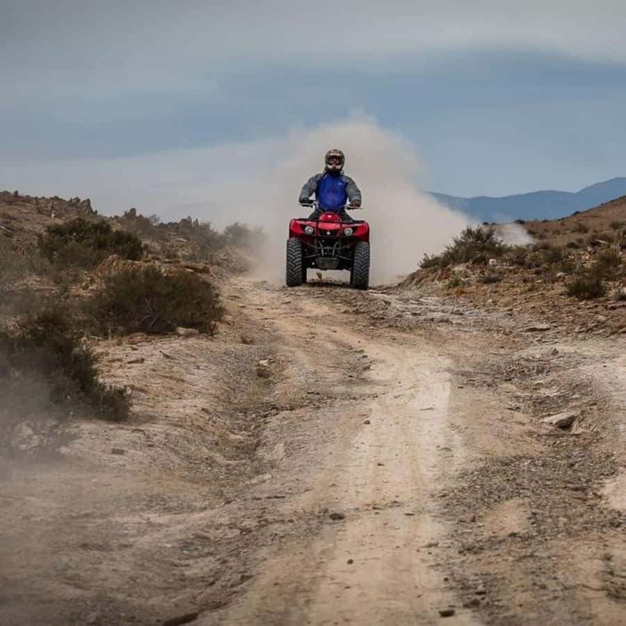 Agafay Desert Day Trip with Lunch, Quad Biking and Swimming - Who should book this Agafay outing?