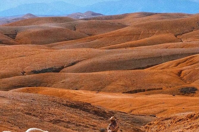 Agafay Desert: Dinner + Show with Quad Bike & Sunset Camel Ride - Music, dancing, and the fire show