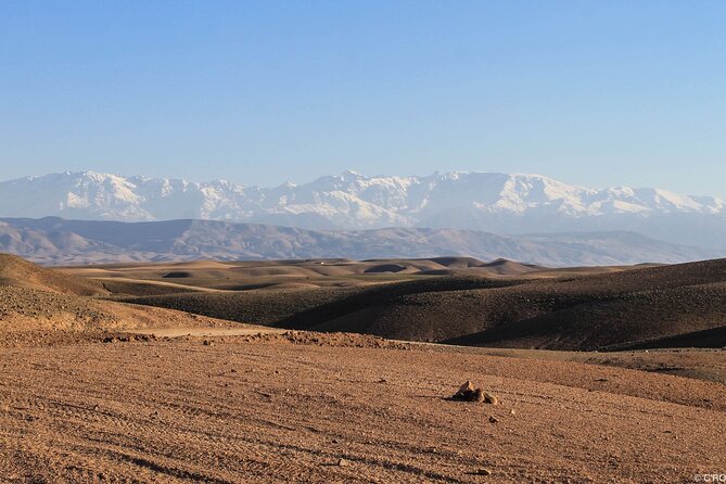 Agafay Desert Package, Quad Bike, Camel Ride and Dinner Show - Music, dancing, and the fire show