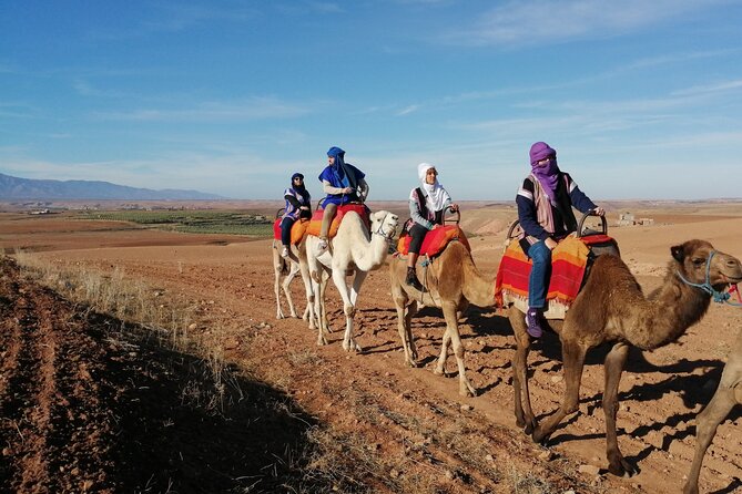 Agafay Desert Package: Quad, Camel Rides & Dinner Show or Lunch - What the $37.08 price really covers