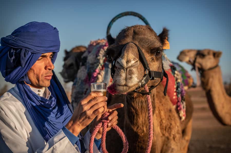 Agafay Desert: Quad Bike and Camel Ride Adventure Tour - Who should choose this outing