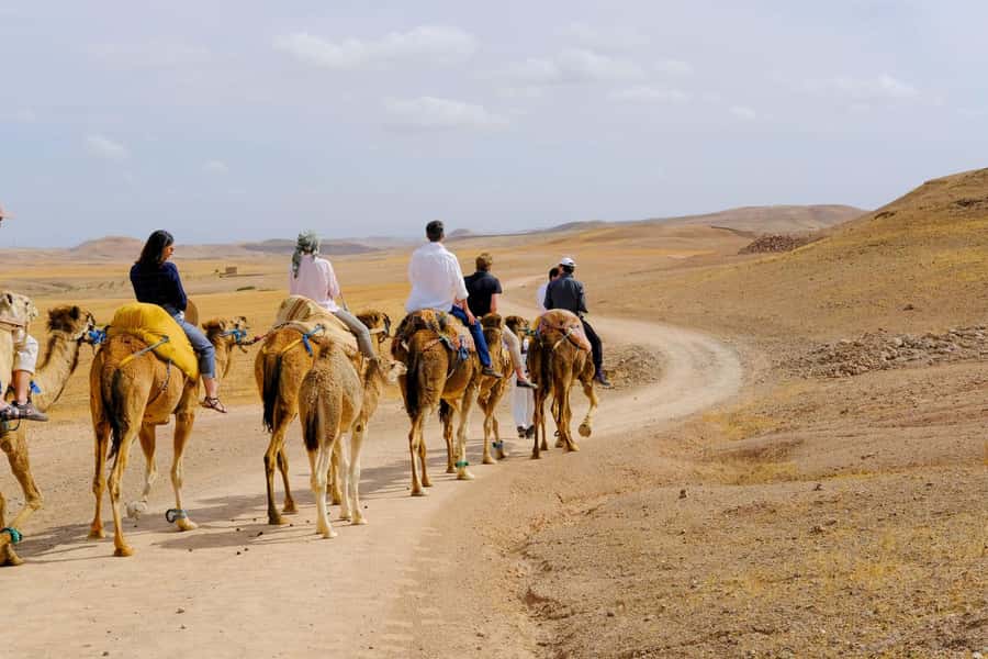 Agafay desert: quad bike and sun set camel ride with dinner - Quad biking across the open ground