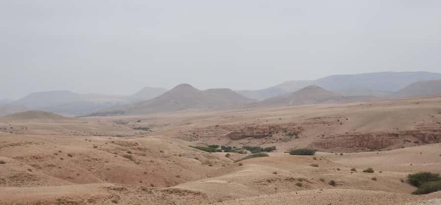 Agafay Desert: Quad Biking, Camel Ride, Lunch - What the $34 price really buys you