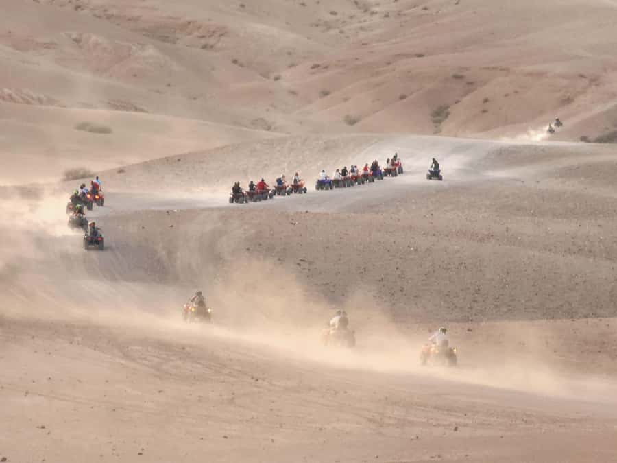 Agafay Desert: Quad Biking, Camel Ride, Lunch - Guides, communication, and the human side of the day