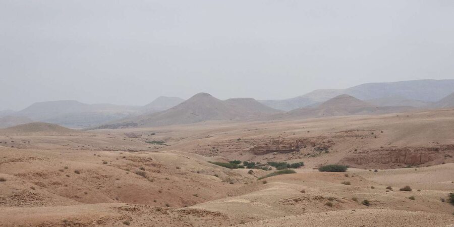 Agafay Desert: Quad Biking, Camel Ride, Lunch - Who will enjoy this most?