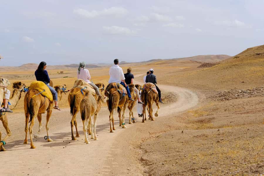 Agafay Desert: Quad, Camel Ride & Luxury Lunch with Pool - Pool time and sunset views