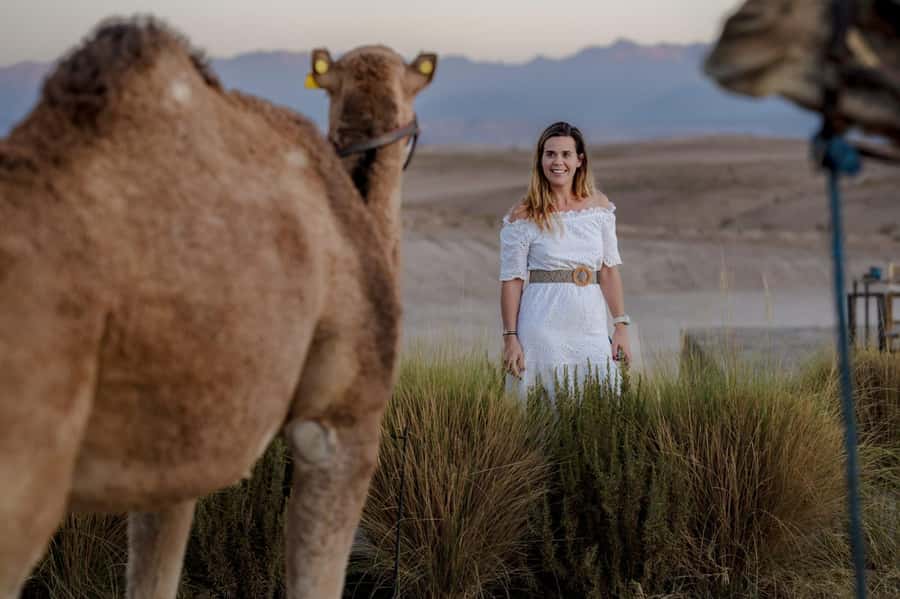 Agafay Desert Tour: Quad, Camel, Lunch & Pool Access - Key points at a glance