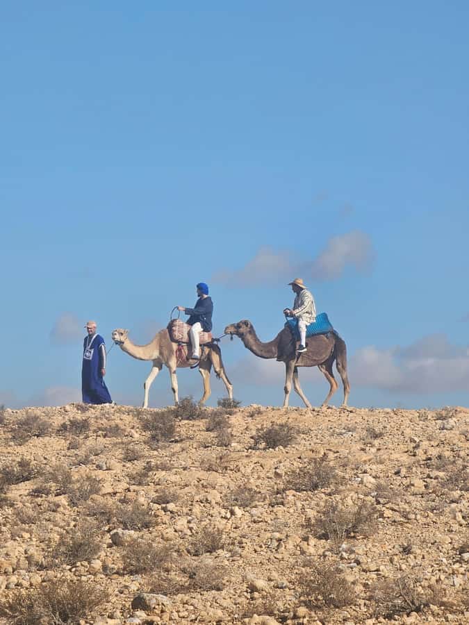 Agafay Desert Tour: Quad, Camel, Lunch & Pool Access - Moroccan lunch with a pool nearby
