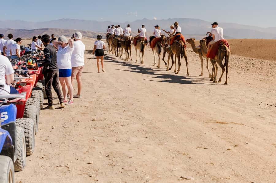 Agafay Desert Tour: Quad, Camel, Lunch & Pool Access - Who will enjoy this Agafay day trip?