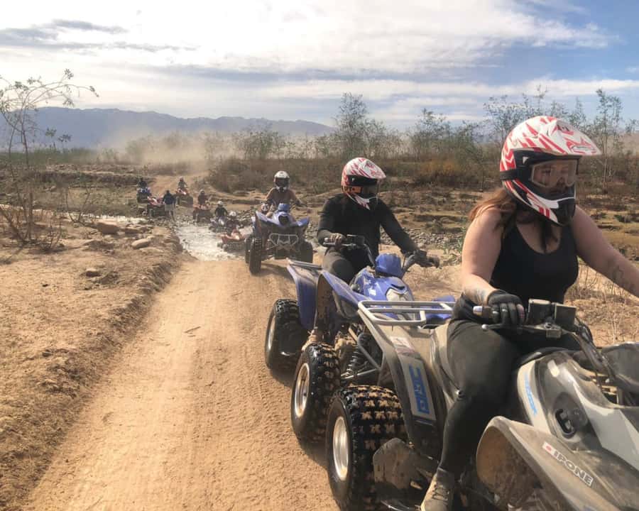 Agafay experience : Dinner with sun set camel or quad ride - Who will enjoy this evening most