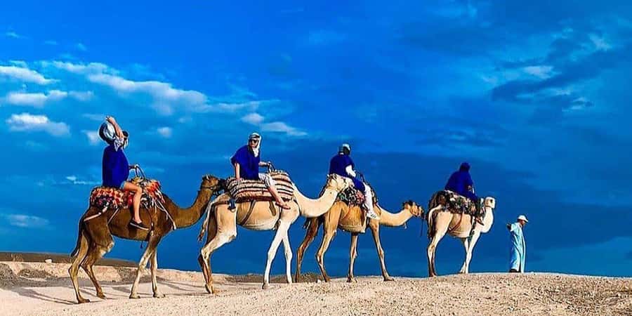 Agafay: Half-Day Rocky Desert Quad & Camel Ride with Lunch - Mint tea and a Moroccan lunch with a view
