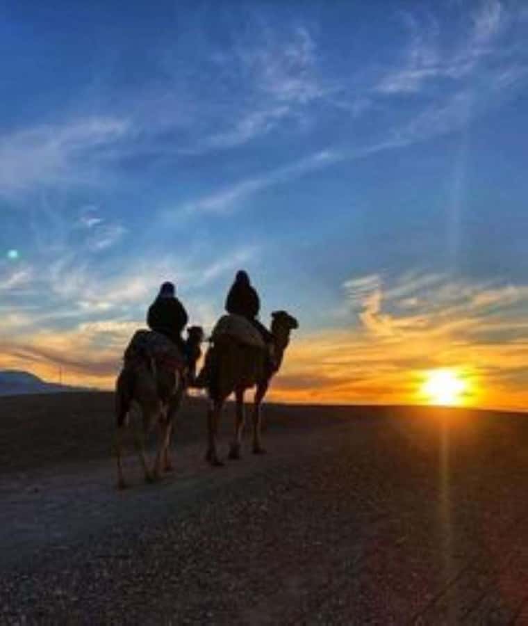 Agafay: Quad, Camel Ride & Dinner Show from Marrakech - The argan oil cooperative gives the day a local start