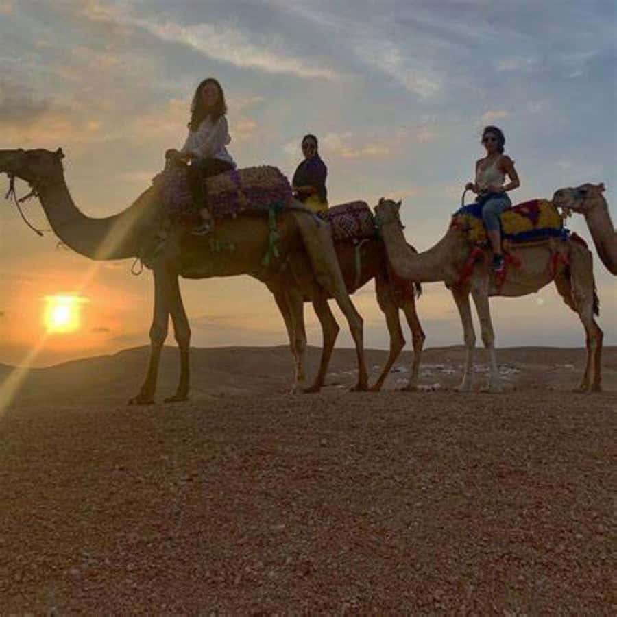 Agafay: Quad, Camel Ride & Dinner Show from Marrakech - Sunset views across the rocky desert