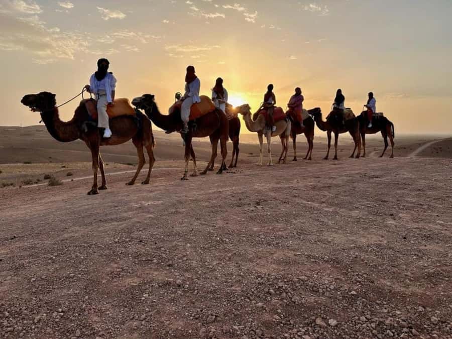 Agafay tour Quade Bike, Sunset and Romantic Dinner Show - Key points to know before booking