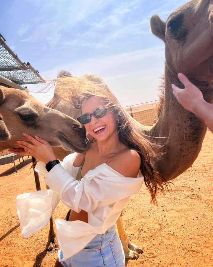 Agafay Tour: Sunset, Dinner, Camel ride, Quad and fire show - Key points at a glance