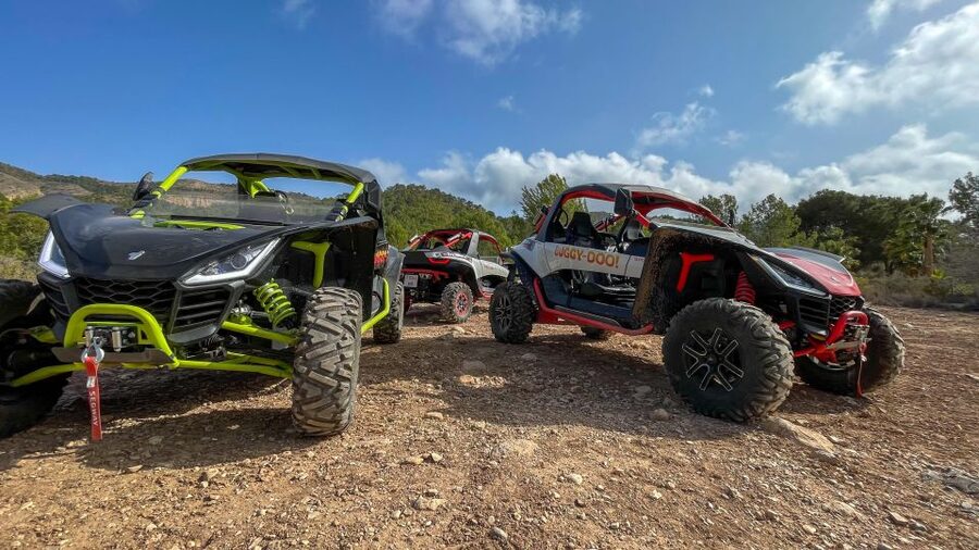 Albir: Buggy Tour Off-Road - Dirt tracks, trees, and changing views