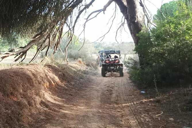 Albufeira 1.5 hour Off-Road Tour Buggy Adventure Tour - Is $59.74 good value?