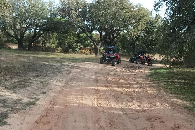 Albufeira 1.5 hour Off-Road Tour Buggy Adventure Tour - Booking, cancellation, and the practical details