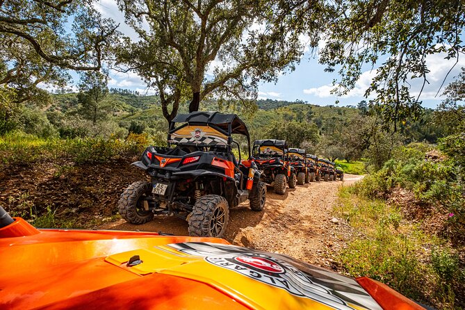Albufeira: 1.5h Off-Road Buggy Tour - Dirt & Scenic Trails - Family appeal, with a few limits