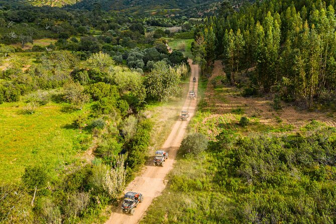 Albufeira: 3-Hour Off-Road Buggy Tour to Hidden Algarve Trails - Is $217.77 good value for two?