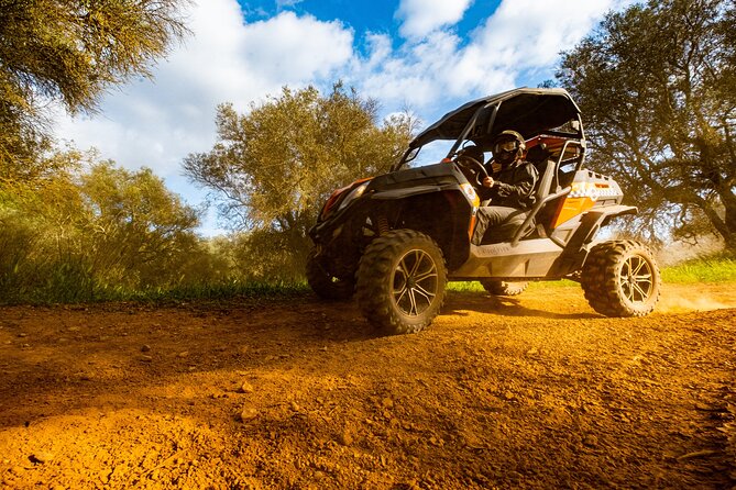 Albufeira: 3-Hour Off-Road Buggy Tour to Hidden Algarve Trails - Who will enjoy this Algarve adventure?