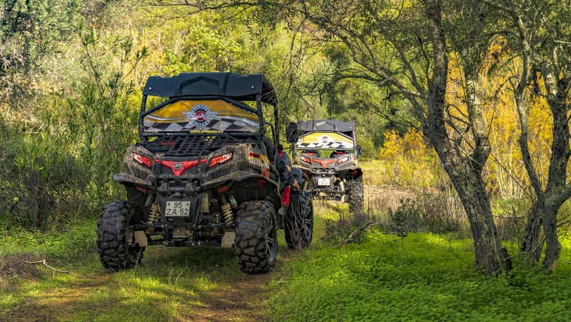 Albufeira: Buggy Adventure through the Algarve Hidden Gems - What the $206 price means for two people