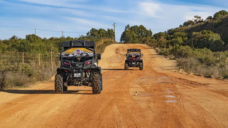 Albufeira: Full-Day Buggy Tour with Lunch - Should you book the Algarve buggy tour?