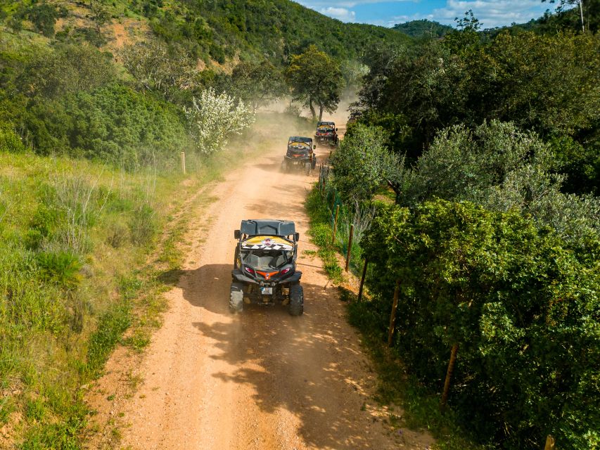 Albufeira: Off-Road Buggy Adventure - Safety, licenses, and weather rules