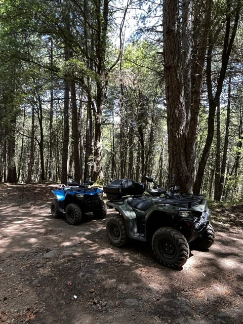 Alcantara: Valley and Gurne dell'Alcantara ATV Adventure - Key points to know before booking