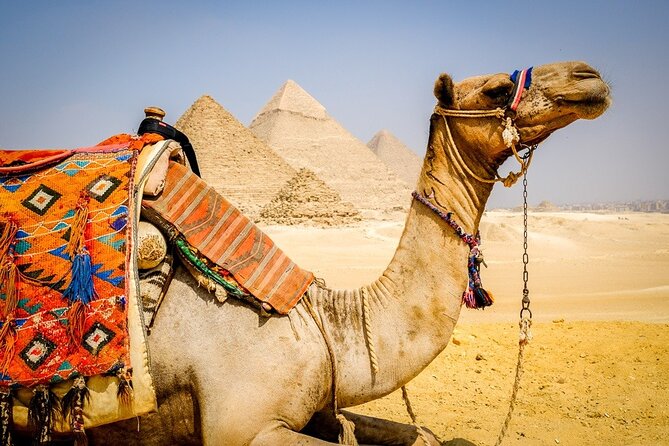 All INC- Pyramids,Camel Ride،(1 hour) four wheeler (ATV)& Lunch - The panorama viewpoint and the best photo stop