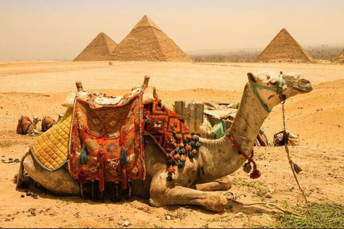 All INC- Pyramids,Camel Ride،(1 hour) four wheeler (ATV)& Lunch - Lunch at a local restaurant