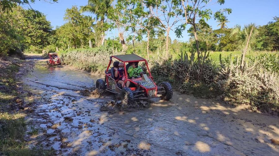 Amber Cove & Taino Bay: Buggy Tour with Swimming & Tasting - What the $125 group price delivers