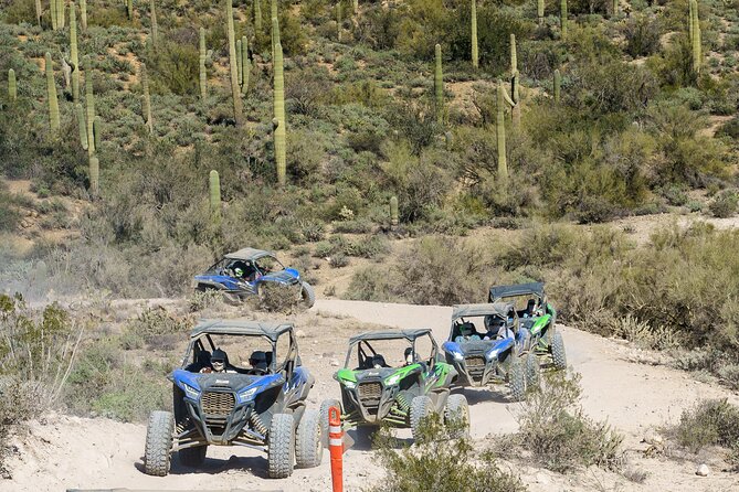 Ancient Ruins Tour - Guided Arizona Desert Tour by UTV - A UTV Ride That Puts Ruins in the Middle of the Action