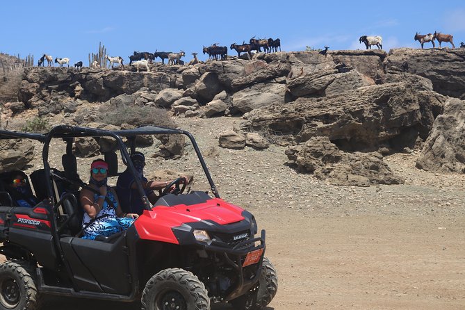 Aruba UTV, ATV Adventure to Secret Beach and Cave Pool - Finishing at Arashi Beach