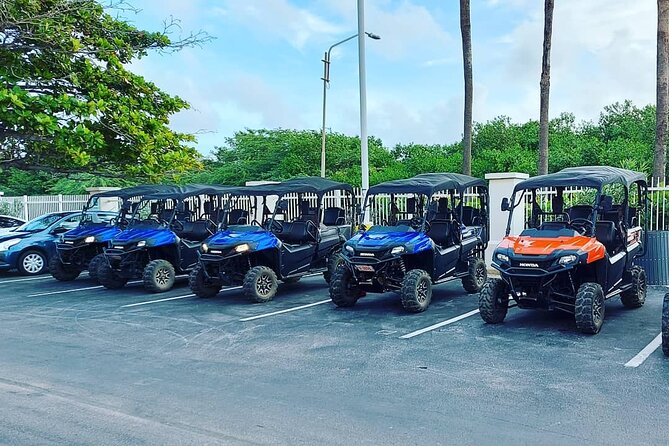 Aruba UTV Rental: 4-Seater for Adventure Exploration - Booking details worth checking before you go