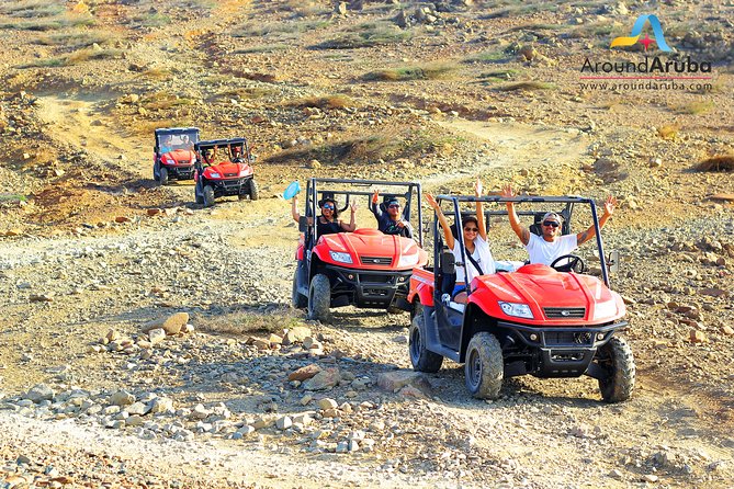 Aruba UTV Rentals For Off-Road Adventure - What the strong ratings mean, and where caution is needed