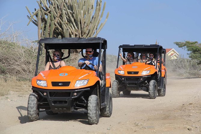 Aruba UTV Tour with Natural Cave Pool and Cliff Jumping - Why a UTV is the right way to see Aruba’s rough northeast