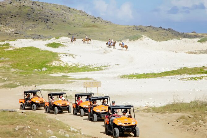 Aruba UTV Tour with Natural Cave Pool and Cliff Jumping - The cave pool is the crucial question to ask