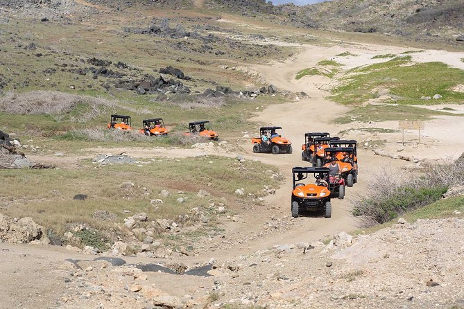 Aruba UTV Tour with Natural Cave Pool and Cliff Jumping - Pickup, timing, and the first stop at Philip’s Animal Garden