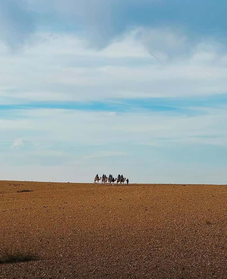 Atlas Mountain & Agafay:Quad Biking and Camel Ride Adventure - Price and overall value at $38