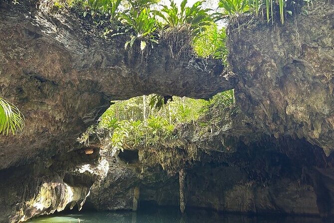 Atv and Cenote All Terrain - Who will enjoy this most?