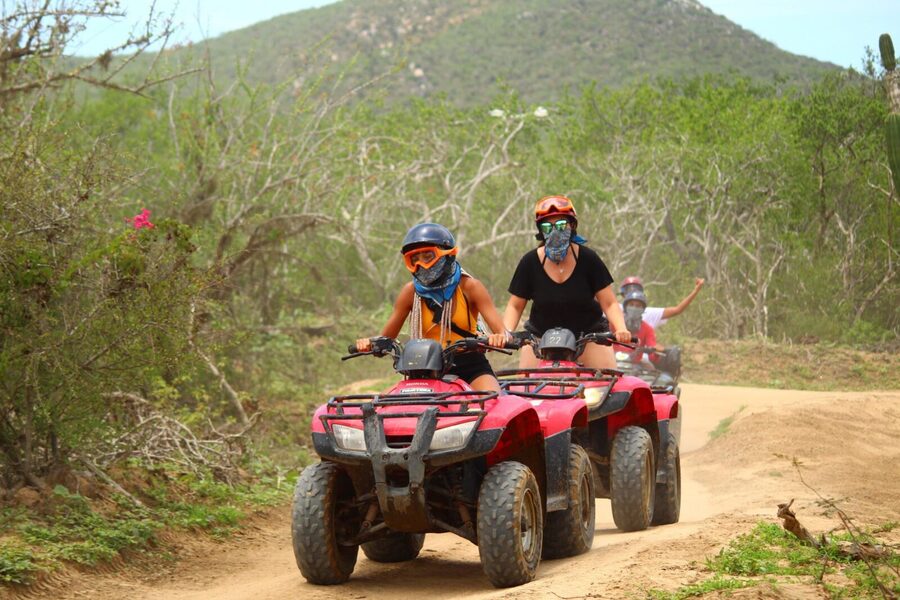 ATV, Beach and Desert Adventure with Tequila Tasting - Who will enjoy this Cabo activity most?
