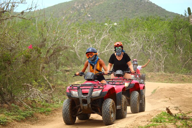 ATV, Beach and Desert Adventure with Tequila Tasting - What makes Playa Migrino worth the stop